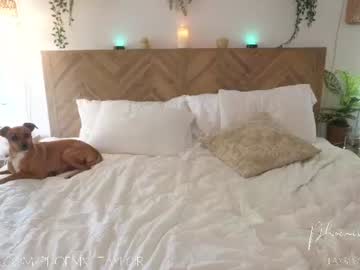 Sex cam beauty phoenix_taylor