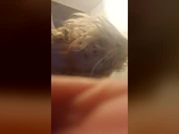 Sex cam beauty sexysadiey67